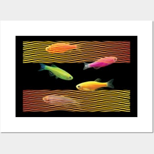 Zebrafish Posters and Art